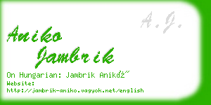 aniko jambrik business card